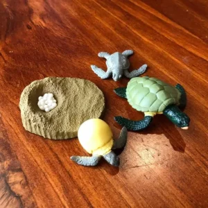 Animal Life Cycle -Best montessori toys