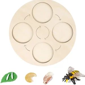 Animal life cycle with Wooden plate - Best montessori toys