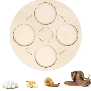 Animal life cycle with Wooden plate - Best montessori toys