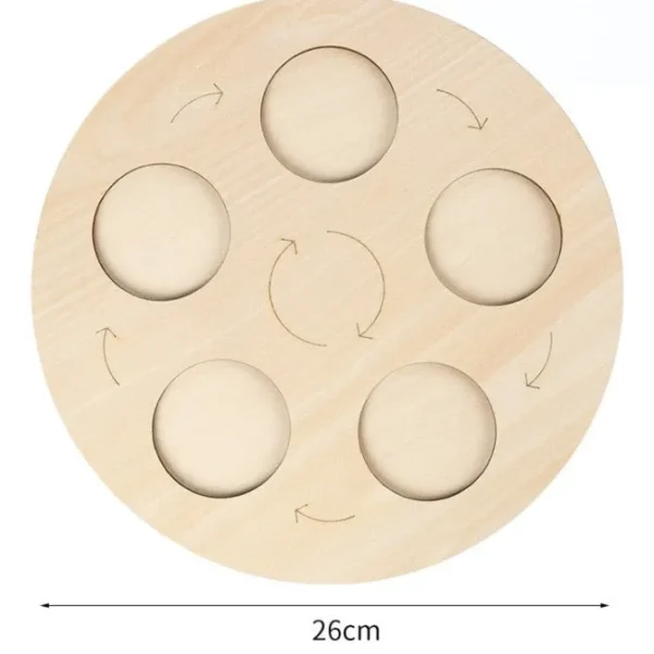 Animal life cycle with Wooden plate - Best montessori toys