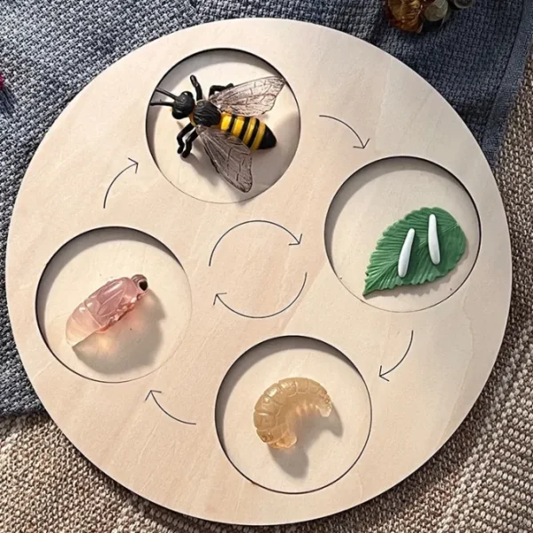 Animal life cycle with Wooden plate - Best montessori toys