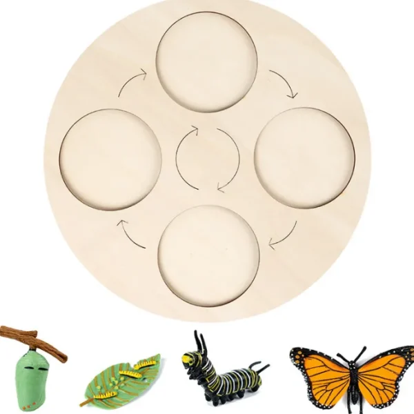 Animal life cycle with Wooden plate - Best montessori toys