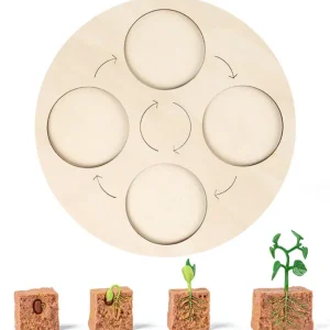 Animal life cycle with Wooden plate - Best montessori toys