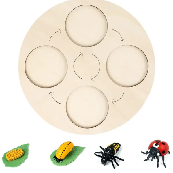 Animal life cycle with Wooden plate - Best montessori toys