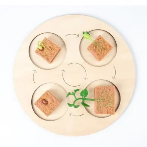 Animal life cycle with Wooden plate - Best montessori toys