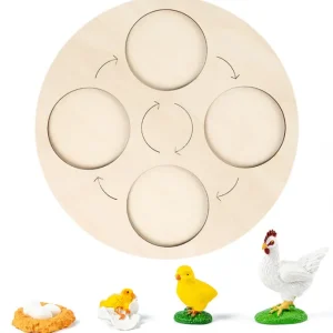 Animal life cycle with Wooden plate - Best montessori toys