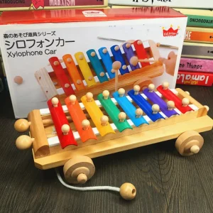 Baby Xylophone Car- Sensory toys