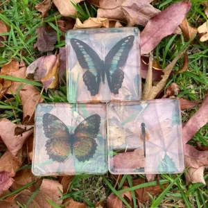 Butterflies and Dragonfly in resin- Best montessori toys