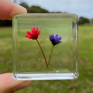 Flowers in resin - 6 piece set Best montessori toys