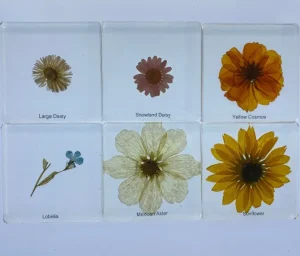 6 Flowers in Resin - Best Montessori Toys