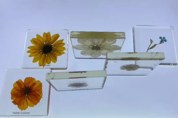 6 Flowers in Resin - Best Montessori Toys