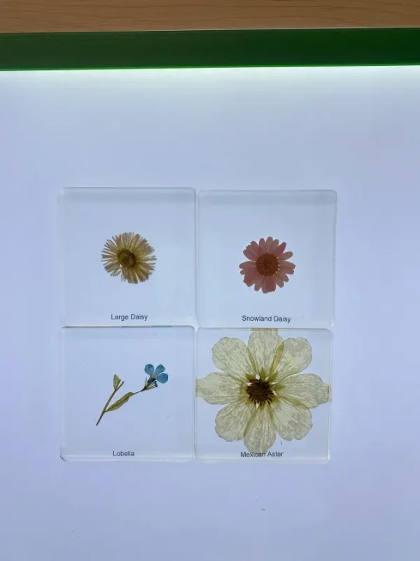 6 Flowers in Resin - Best Montessori Toys