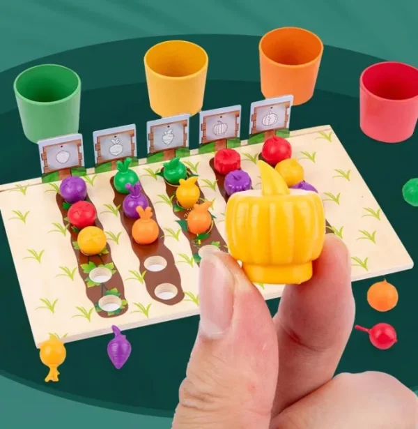 Fruit and Veggie Sorting & Counting Game- Mathematics toys