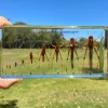 Grasshopper Life Cycle in Resin-The best Montessori