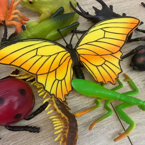 Large Insects set of 24 - The Best Montessori Toys