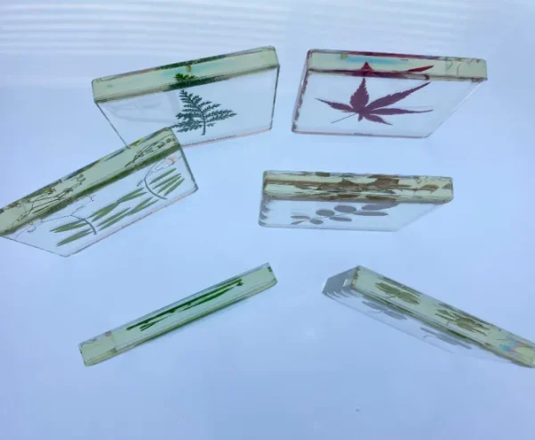 6 Leaf set In Resin - Open Ended Toys