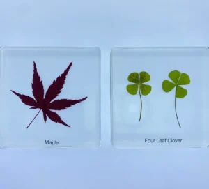 6 Leaf set In Resin - Open Ended Toys