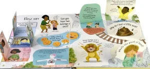 Life-The-Flap Questions and Answers about Feelings - Open ended learning