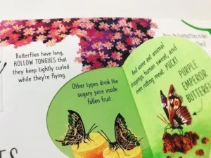 Lift-the-flap Interactive Book - Bugs and Butterflies