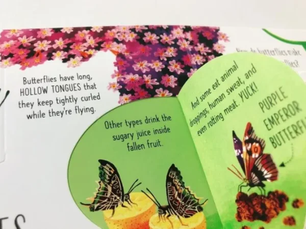 Lift-the-flap Interactive Book - Bugs and Butterflies