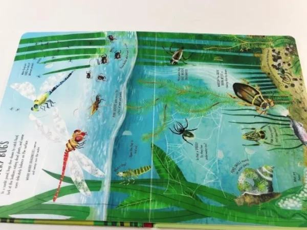 Lift-the-flap Interactive Book - Bugs and Butterflies