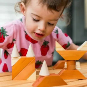 Magnetic Wooden Shapes