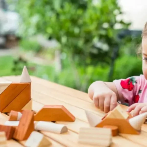 Magnetic Wooden Shapes