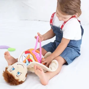 Montessori Anatomy Doll-Best montessori toys