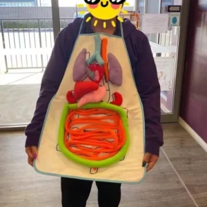 Montessori Human Body Organ Anatomy Apron-Best montessori toys