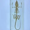 Mouse Skeleton in Resin - The best Montessori