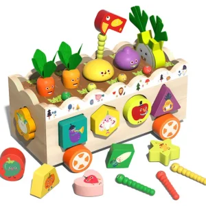 Multiple Functions Vegetables Box - Fine Motor Skill Toys