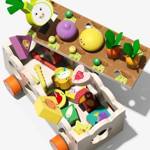 Multiple Functions Vegetables Box - Fine Motor Skill Toys