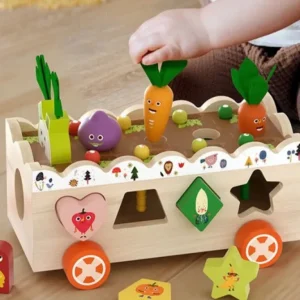 Multiple Functions Vegetables Box - Fine Motor Skill Toys