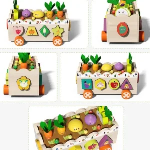 Multiple Functions Vegetables Box - Fine Motor Skill Toys