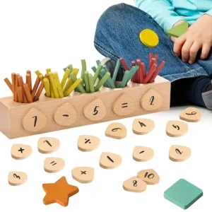 Number and Colour Sorting Box - The Best Montessori Toys