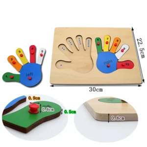 Number Hands Puzzle- Fine motor skills toys