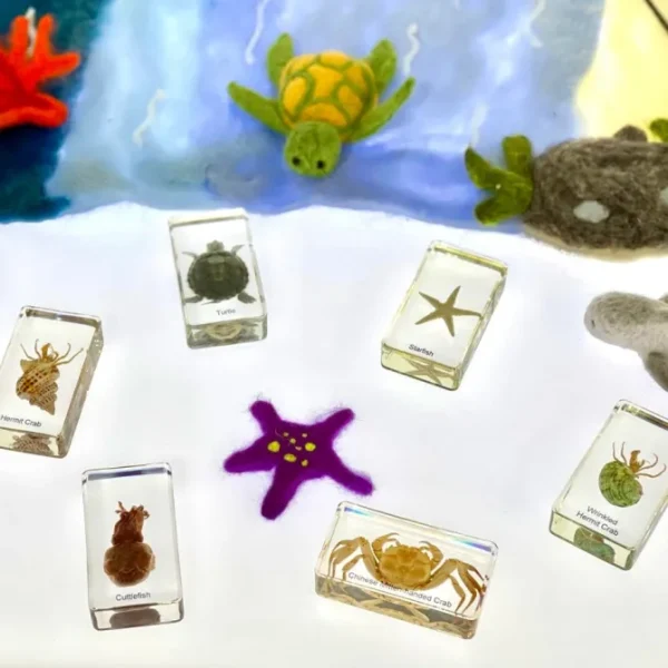 6 Ocean Animals Set in Resin - Best Montessori