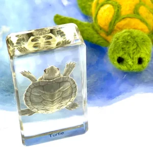 6 Ocean Animals Set in Resin - Best Montessori