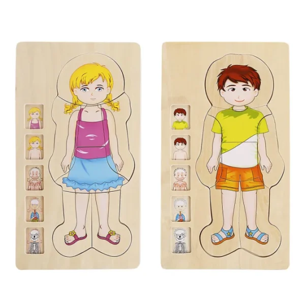 Onshine Wooden 3D Anatomy Puzzle- Fine motor skills toys