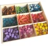 Rainbow Wooden Loose Parts with Tray - Open ended wooden toys