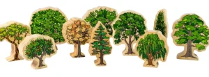 Wooden Australian Trees - Best Open Ended Play Toys