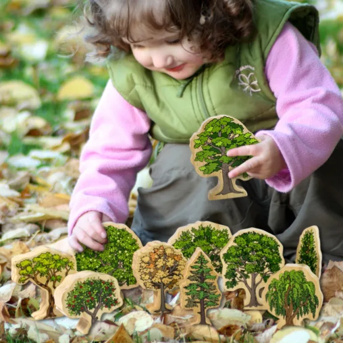 wooden_australian_trees___3.webp Wooden Australian Trees - Best Open Ended Play Toys