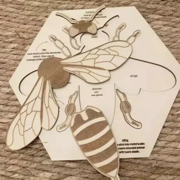 Wooden Bee Anatomy Puzzle