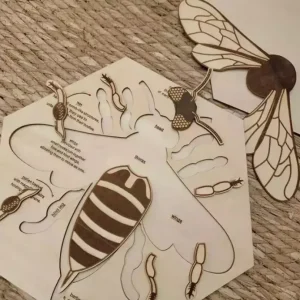 Wooden Bee Anatomy Puzzle