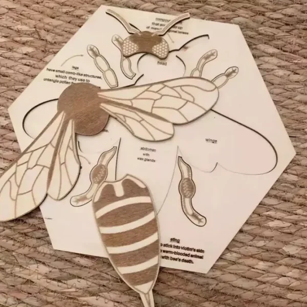 Wooden Bee Anatomy Puzzle