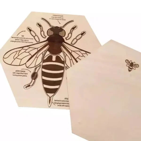 Wooden Bee Anatomy Puzzle