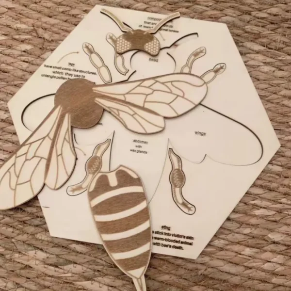 Wooden Bee Anatomy Puzzle