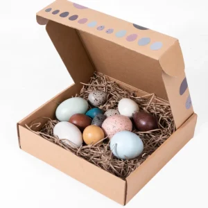 Wooden Birds’ Eggs- Open ended wooden toys