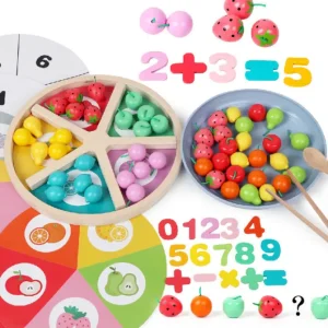 Wooden Fruit Sorting Math Game- Mathematics toys