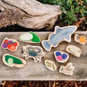 Wooden Indigenous Tucker - Best Open- Ended Play Toys